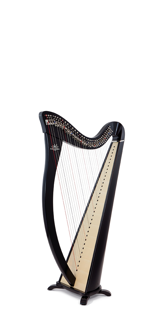 Rental Camac Harps Wales