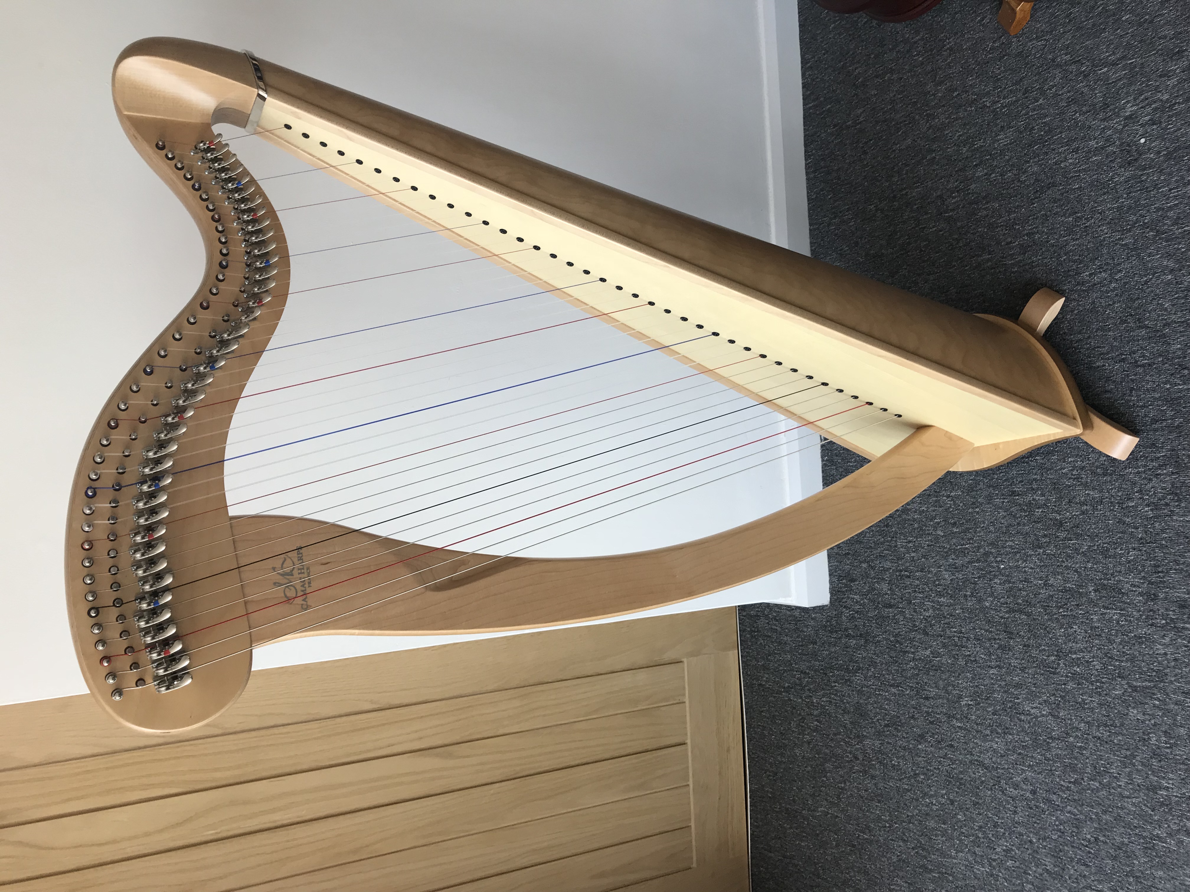 IMG2770 Camac Harps Wales Camac Harps Wales
