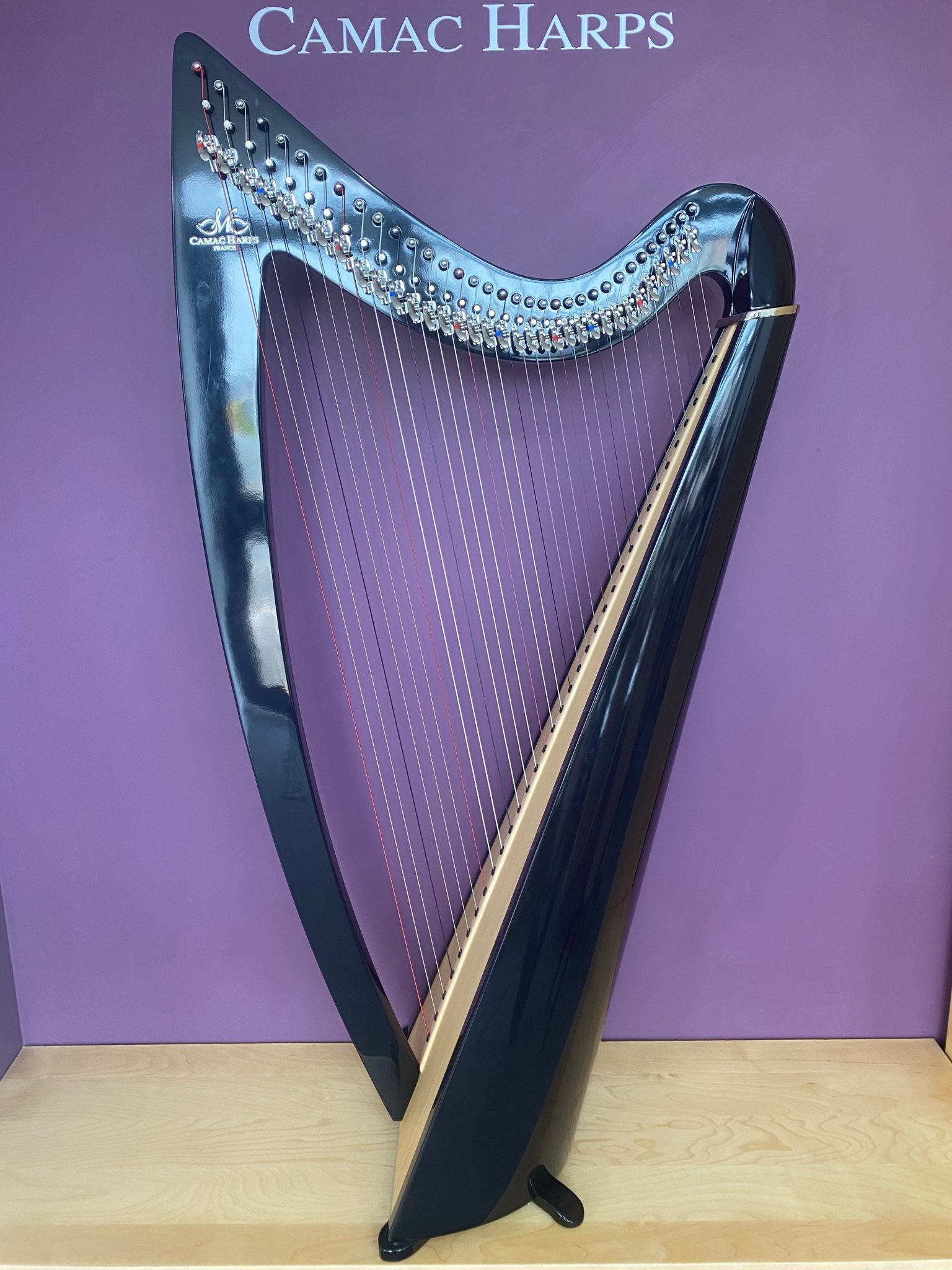 Ex Demo Harps Camac Harps Wales