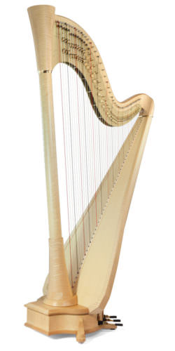 Clio Extended, natural maple finish