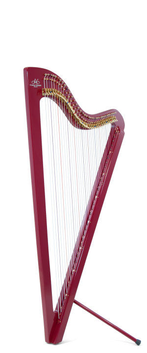 Electro Paraguayan Harp